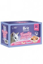 Brit Premium Cat D Fillets in Jelly Family Plate 1020g